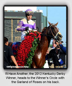 I'll Have Another, the 2012 Kentucky Derby Winner, heads to the Winner's Circle with the Garland of Roses on his back.